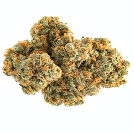 The Best Sativa Strains For Energy 2025