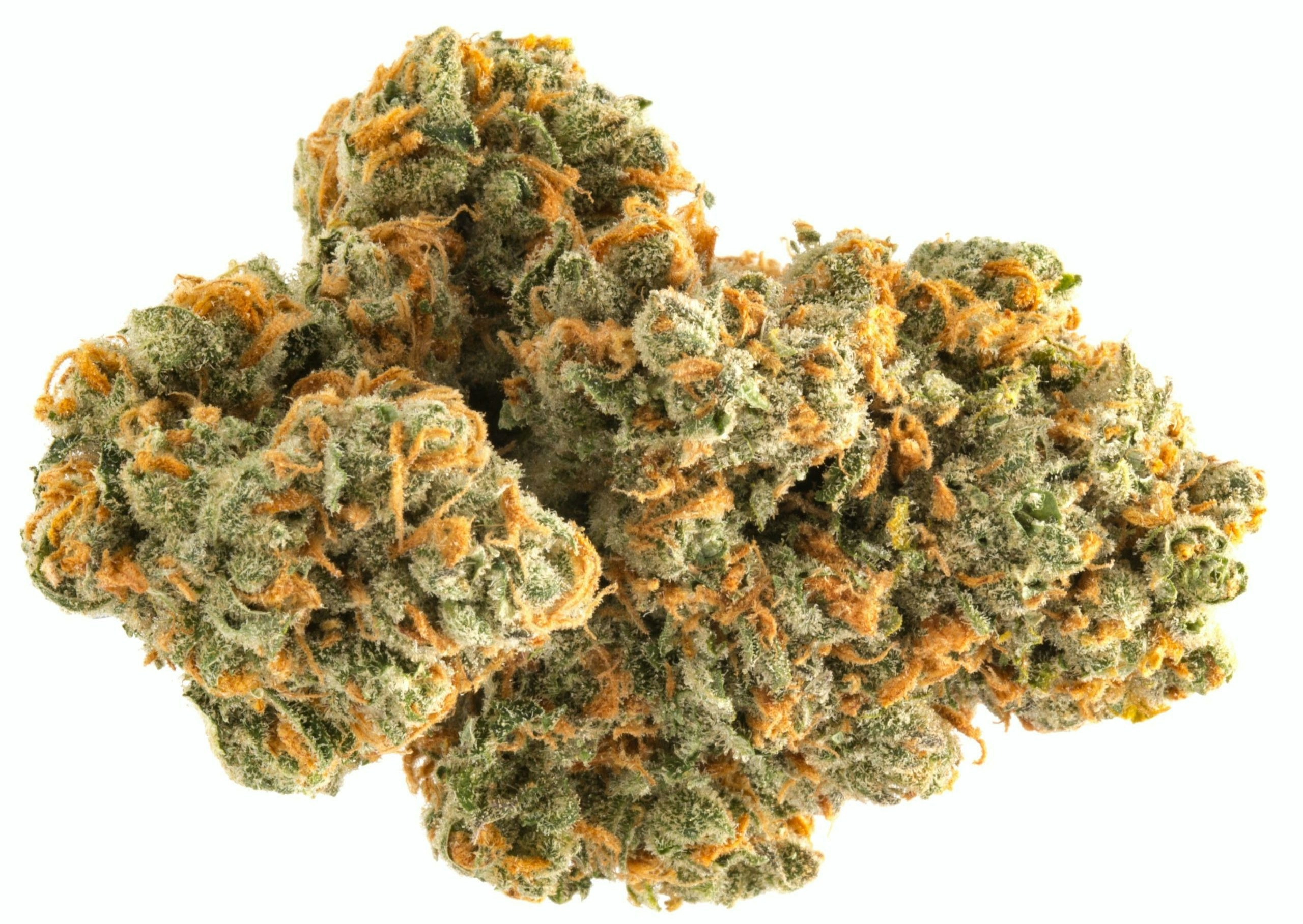 most powerful sativa strains