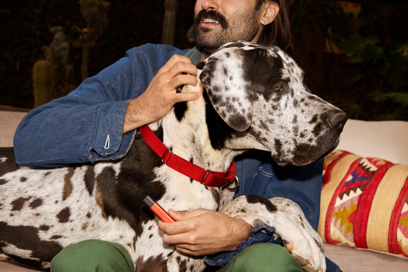 Review: Pax Era Life Vaporizer