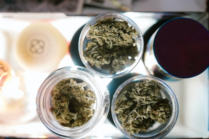 World Anti-Doping Agency Keeps Cannabis On The Prohibited Substance List For 2023