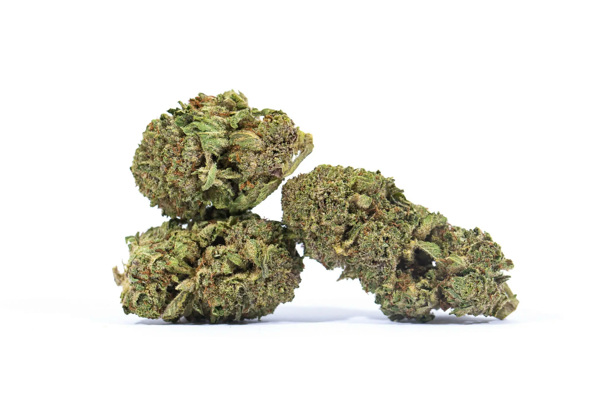 Strain Sense: The Weirdest Strain Names In The World