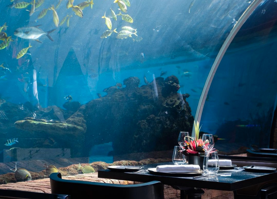 Herb Plated: The Top 10 Most Instagrammable Restaurants In The World