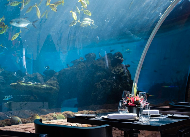 Herb Plated: The Top 10 Most Instagrammable Restaurants In The World