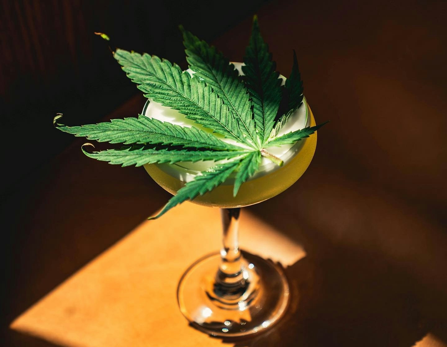 This Is The Cannabis-Infused Restaurant Houston Needed
