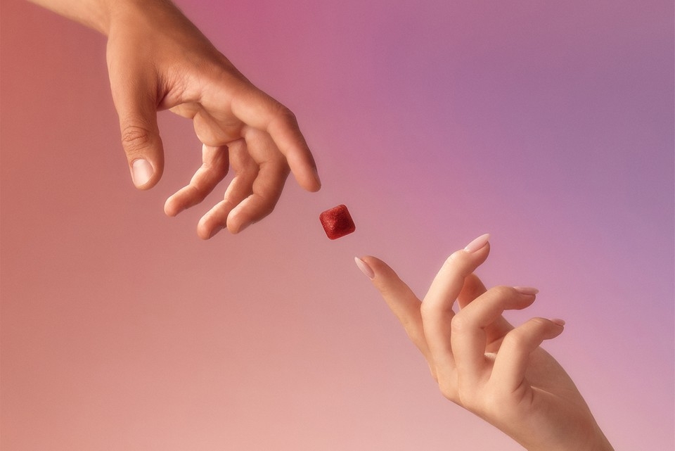 Mojo Aims To Help Manage The Chaotic Modern Life With Functional Mushrooms & Botanicals