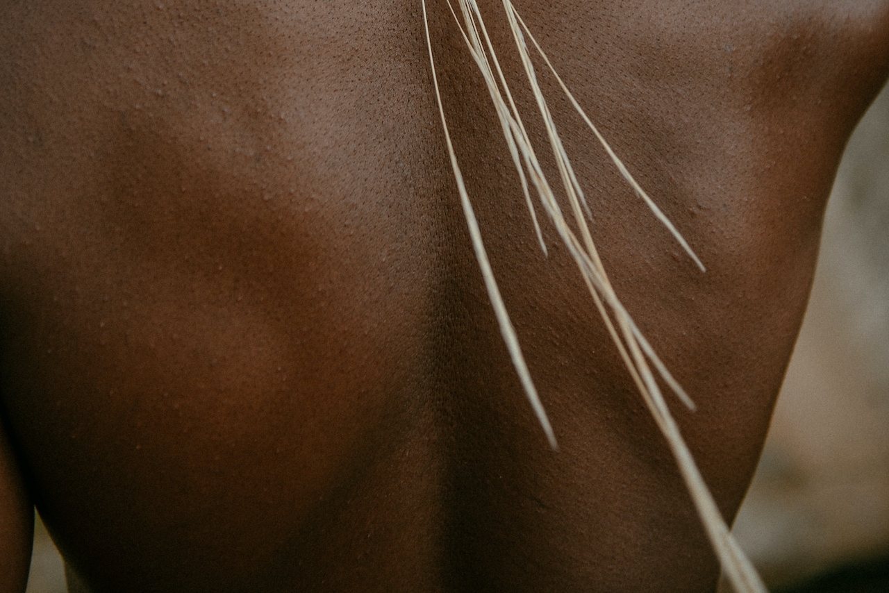 Strains Sense: The Best Strains For Your Immune System