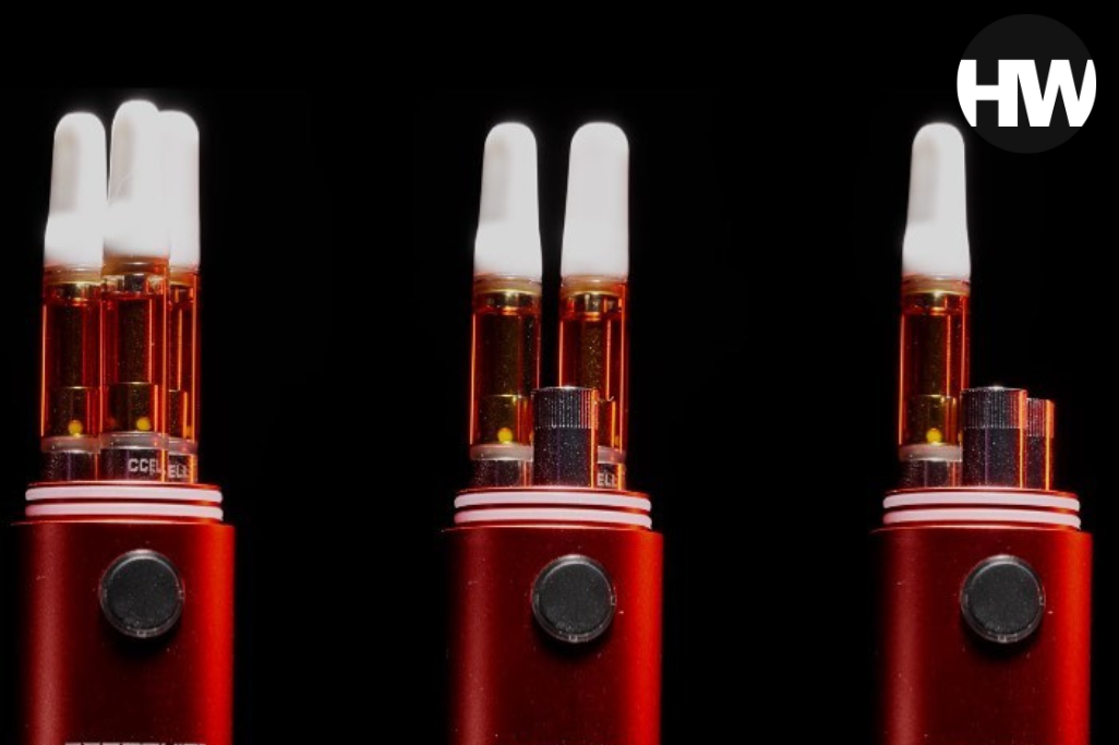 Herbworthy: The Starship From Hamilton Devices