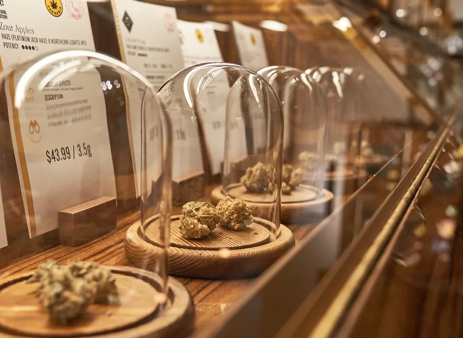 10 Best  Dispensaries In West Hollywood