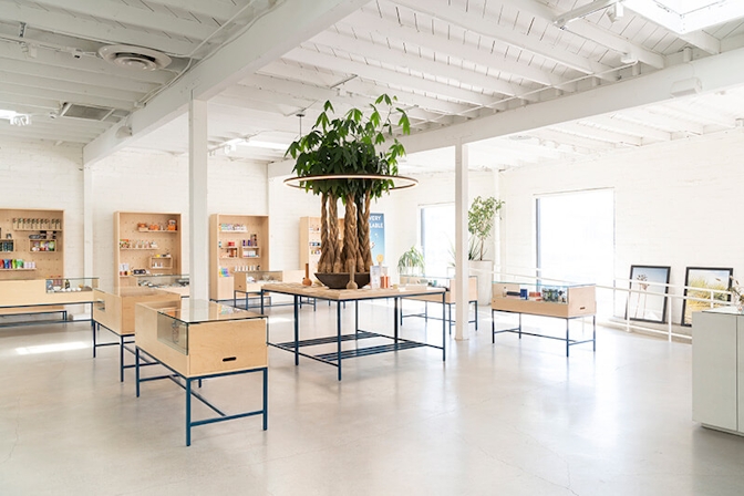 10 Best Dispensaries In West Hollywood
