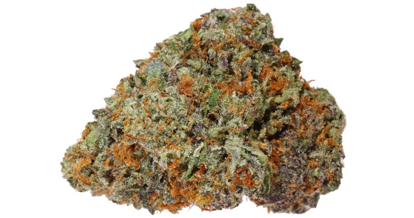 The Best Strains For Fall 2025