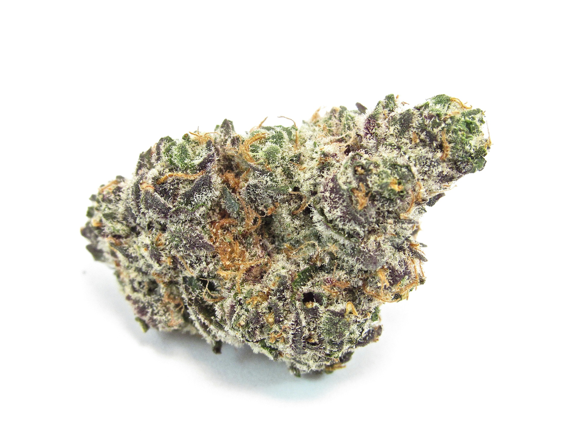 apple fritter strain