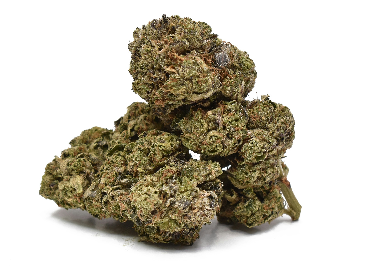 The Best Strains For Fall 2024