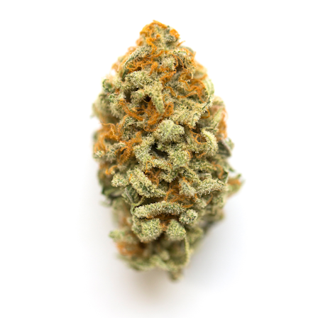 The Best Strains For Fall 2025