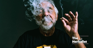 The Herbalist: Tommy Chong’s CBD Lets You Shop With Confidence