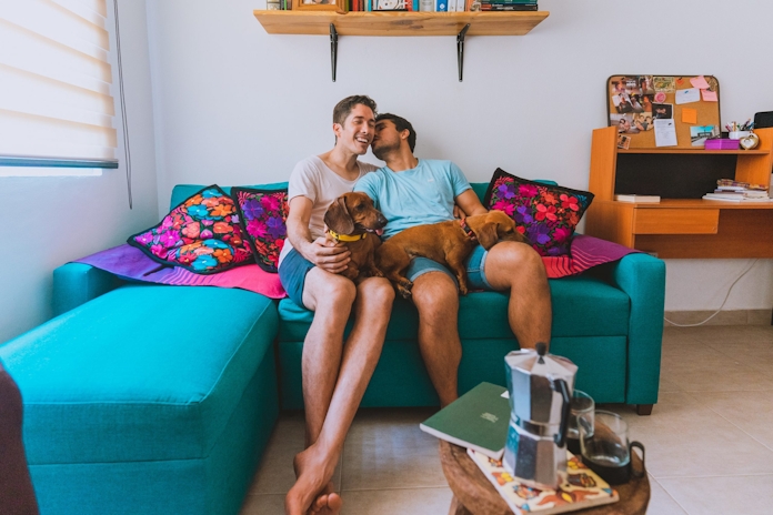 VETCBD Is Committed To Improving The Lives Of Animals With CBD