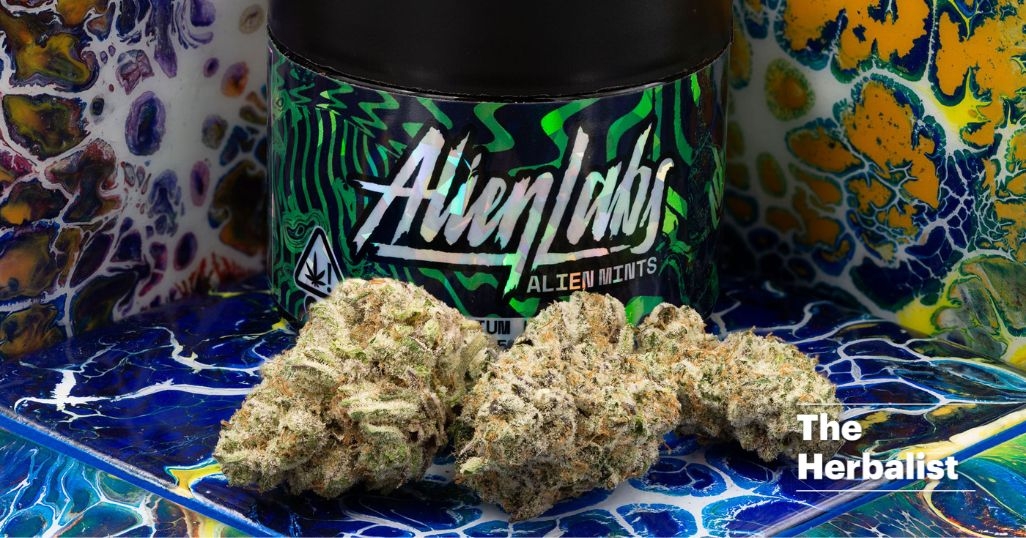 The Herbalist: Alien Labs & Its Impact On Cannabis Culture