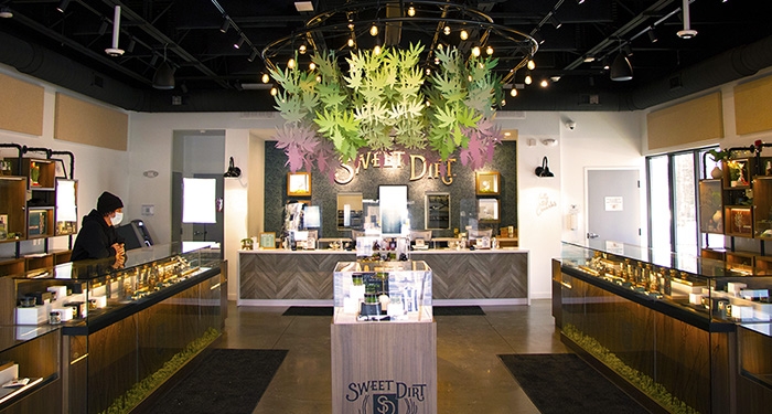 Sweet Dirt Grows Organic, Sustainable, Certified Clean Cannabis