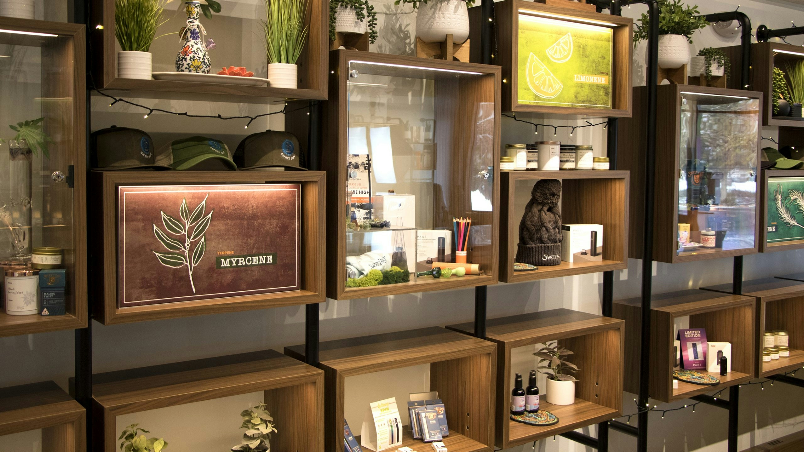 Sweet Dirt Grows Organic, Sustainable, Certified Clean Cannabis