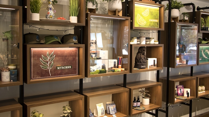 Sweet Dirt Grows Organic, Sustainable, Certified Clean Cannabis