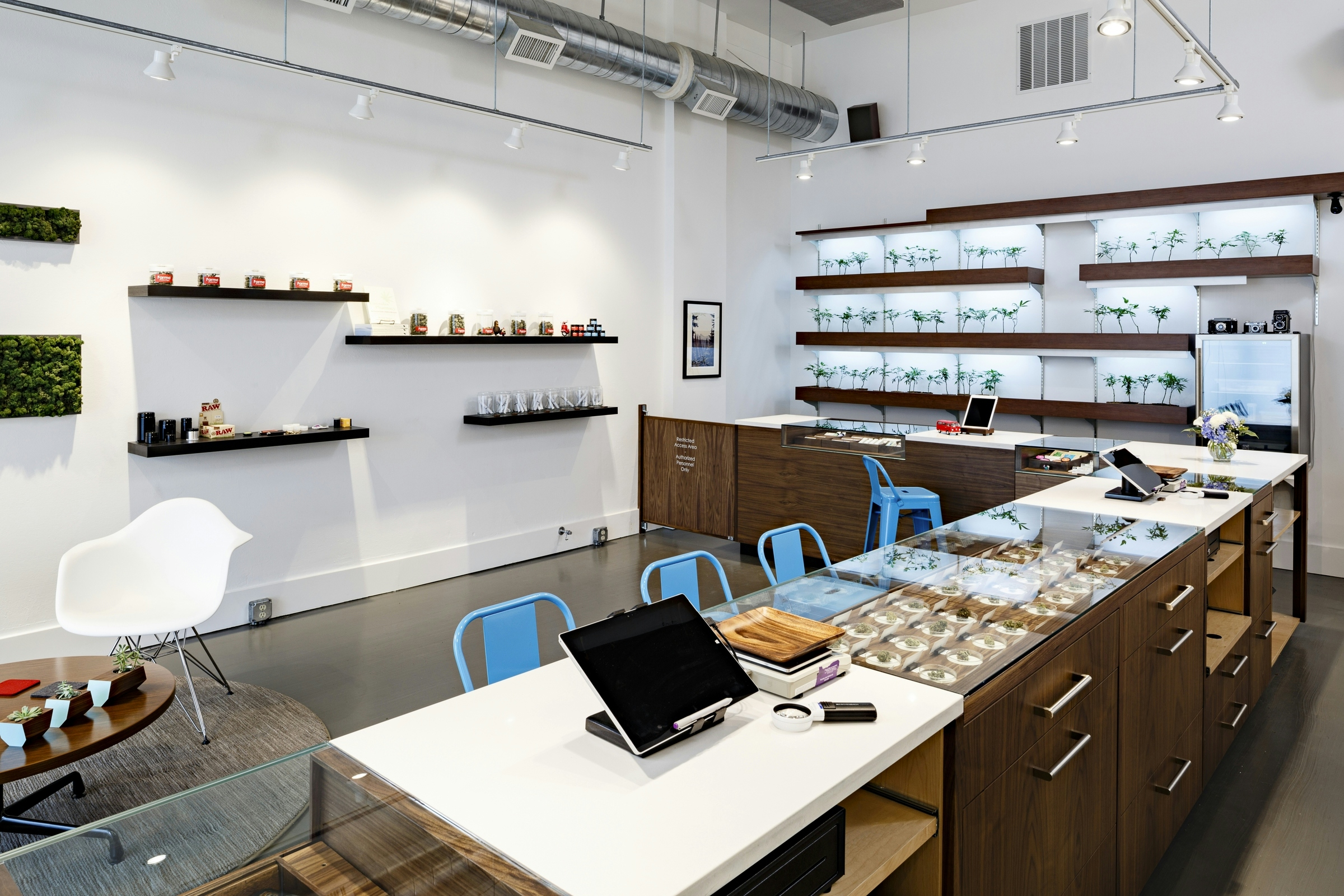 How To Market Your Dispensary: SEO, Social, Email, Local, & Display