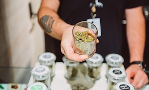 Holiday: International Budtender Day