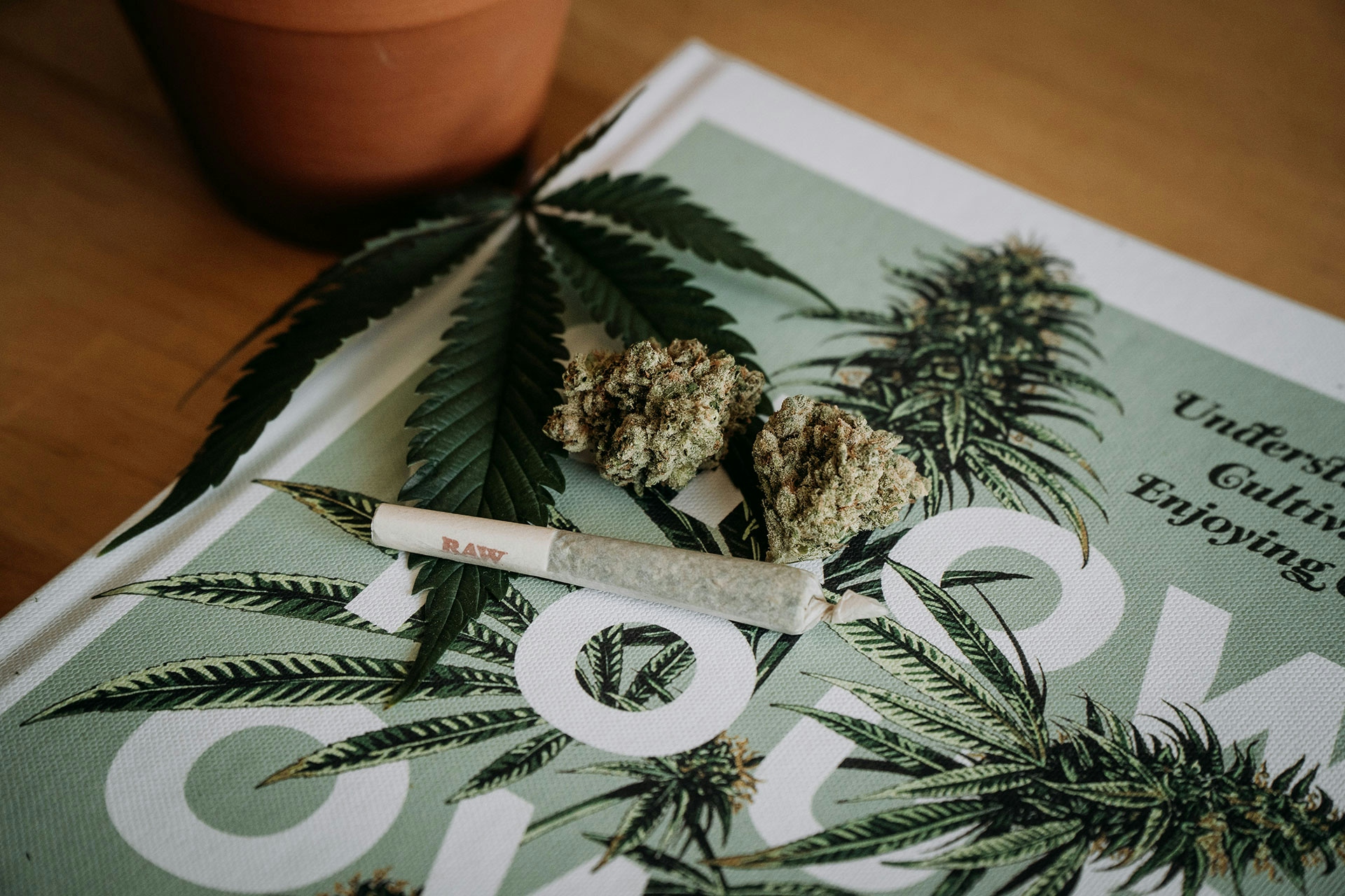 CBD Marketing Vs. THC Marketing: Search, Social, And Display