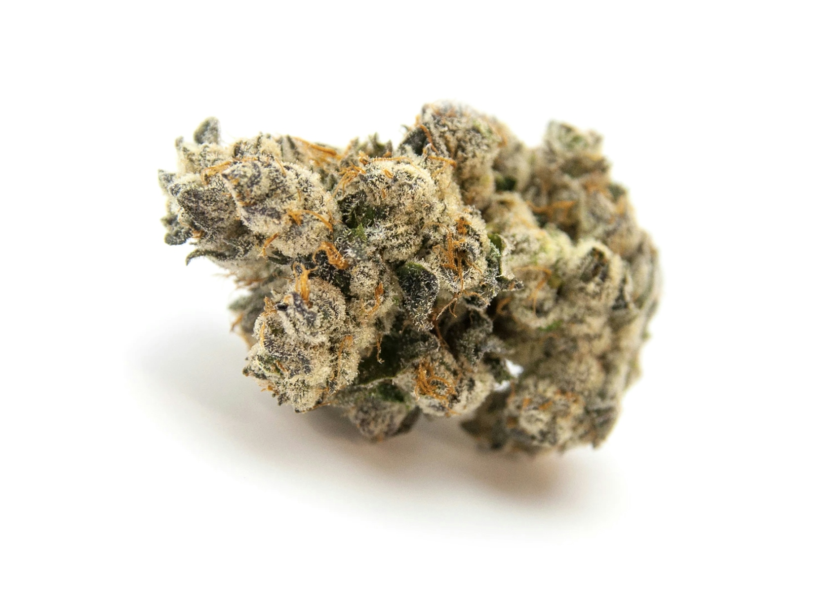 The Best Weed Strains Of 2023