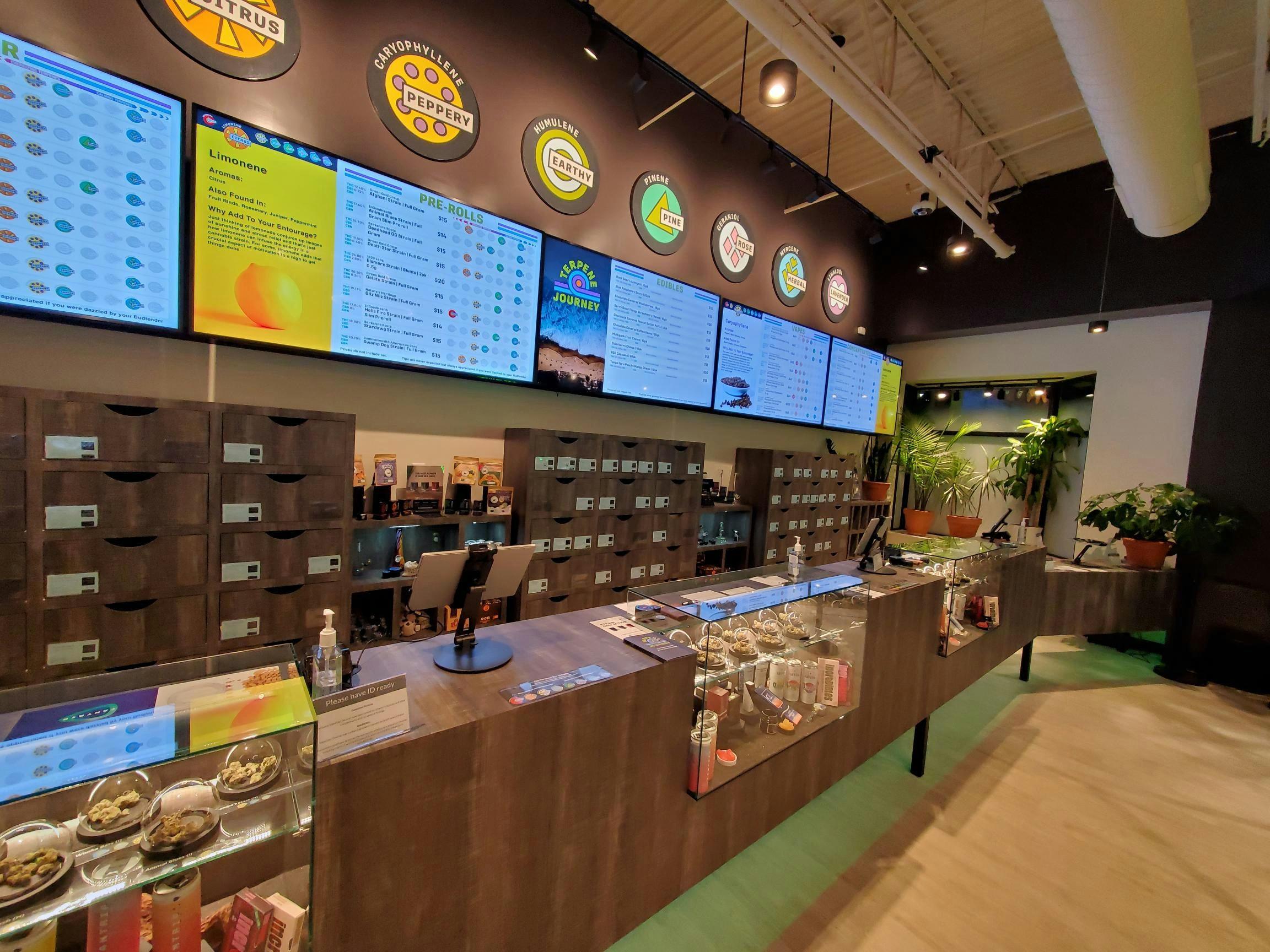 Best 5 Dispensaries In Salem