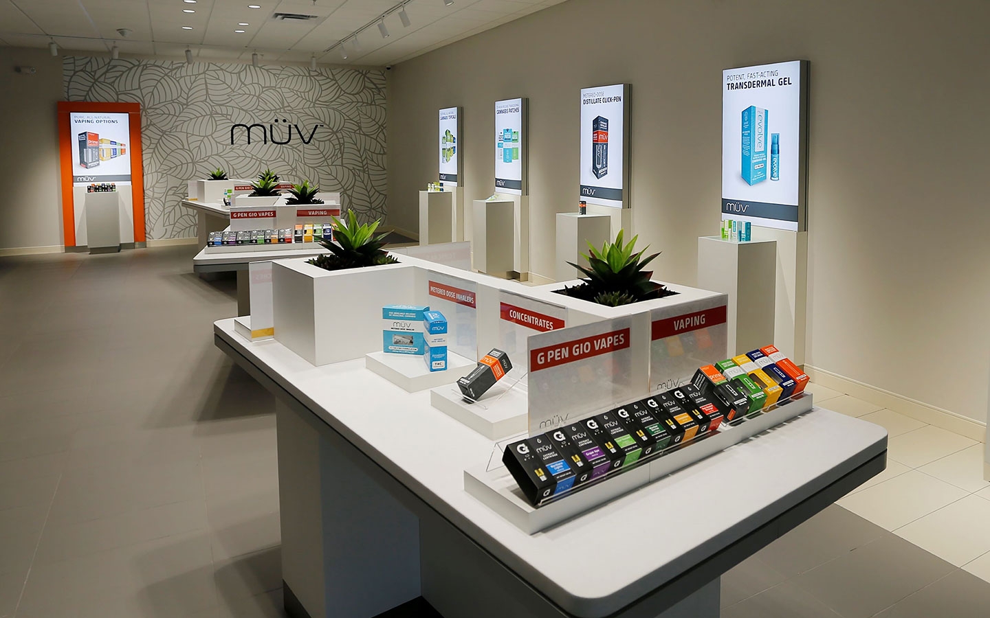 Top 5 Best Cannabis Dispensaries In Tampa