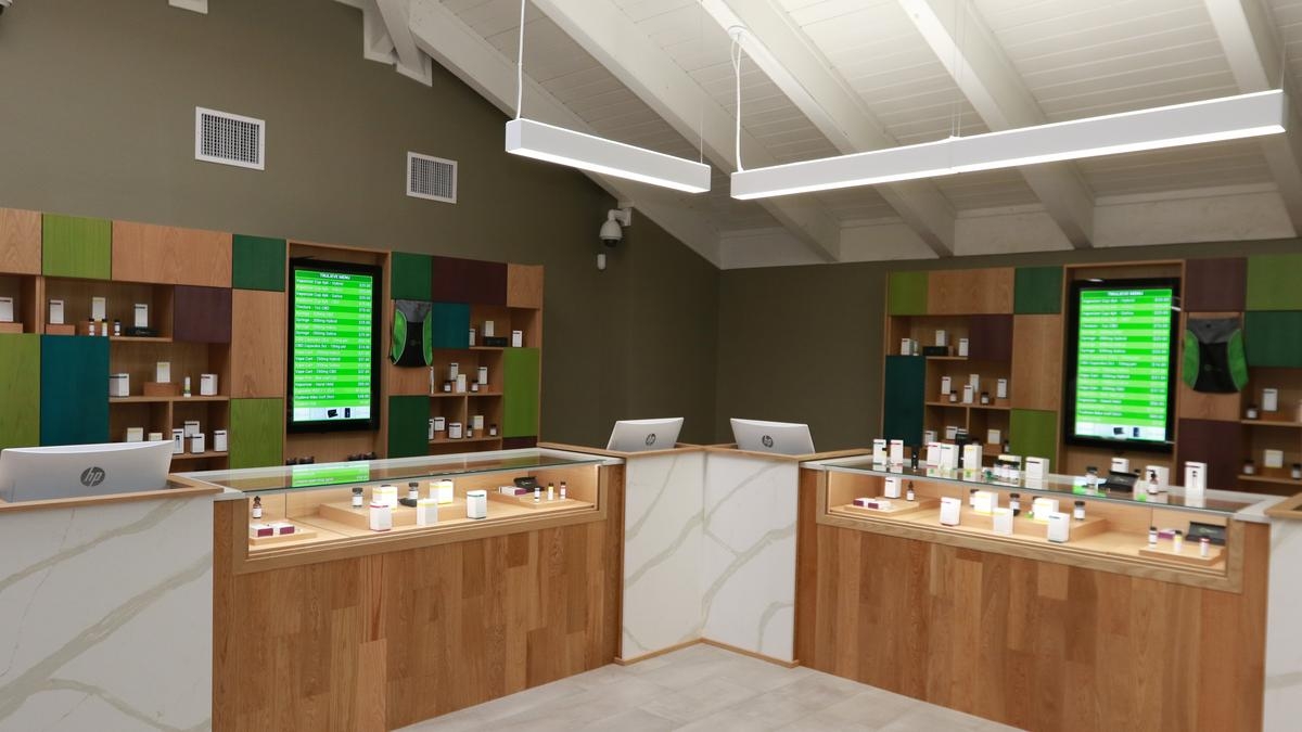 Top 5 Best Cannabis Dispensaries In Tampa