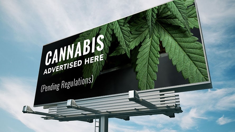 Cannabis Marketing Agencies Vs. General Digital Or Advertising Agencies