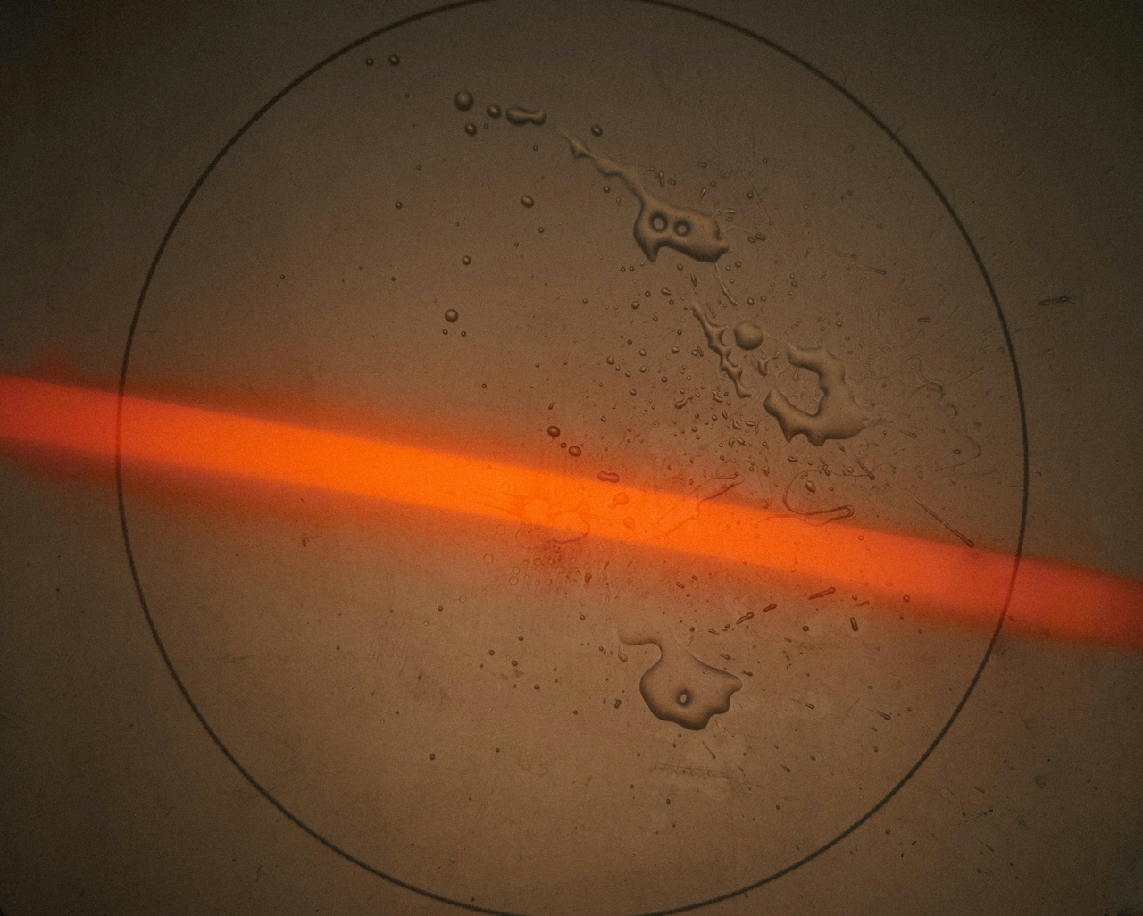 What Is Pure Delta 8 And Why It Matters