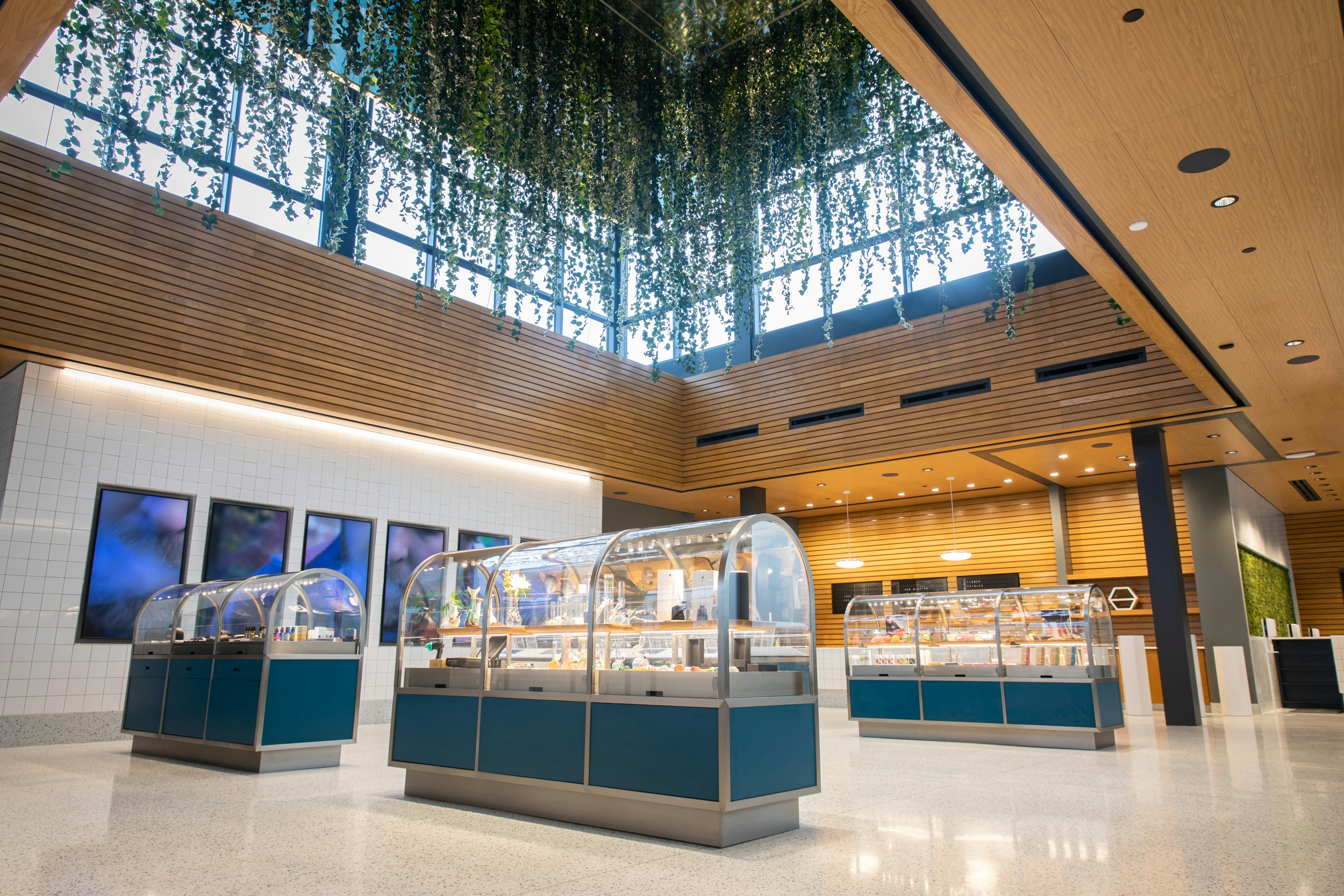 Behind The Business: Insa Dispensaries Are Where Simplicity Meets Efficacy