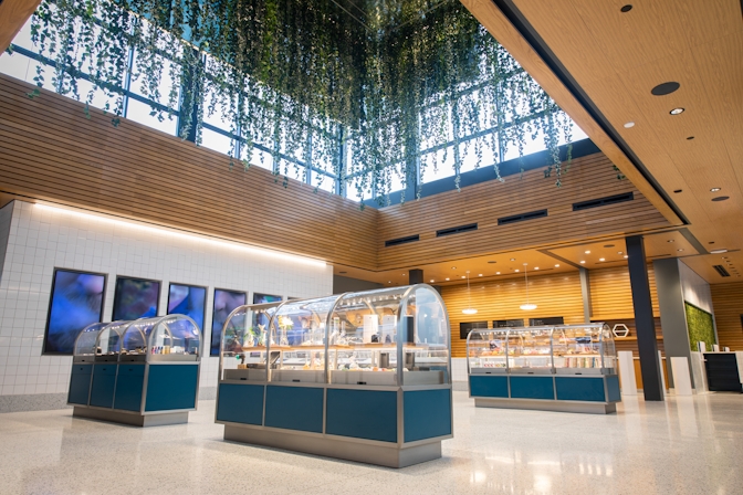 Behind The Business: Insa Dispensaries Are Where Simplicity Meets Efficacy