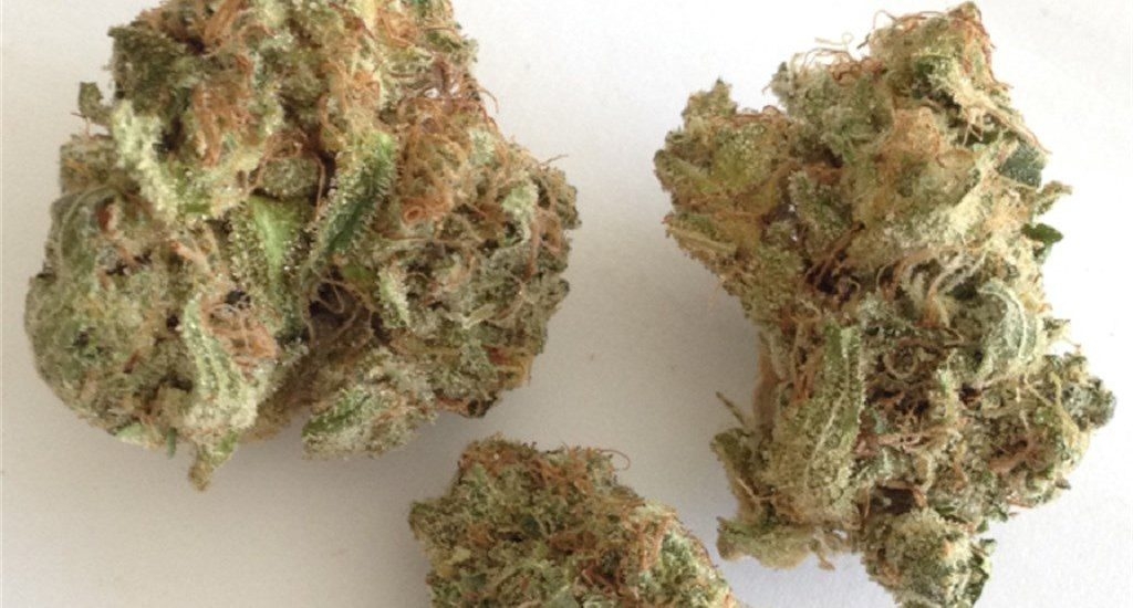 Strains Sense: Best Strains To Perform Better At Your Tech Job