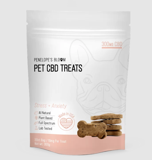 CBD Dog Treats For Anxiety: 5 Products To Calm Your Bestie