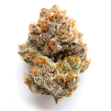 Best Strains For The Winter Holidays