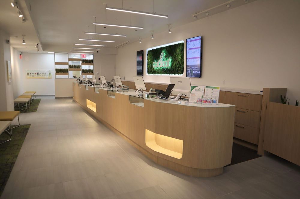 3 Best Dispensaries In Queens, NY