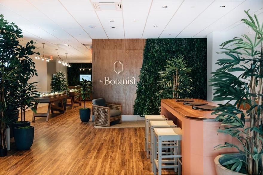 3 Best Dispensaries In Queens, NY