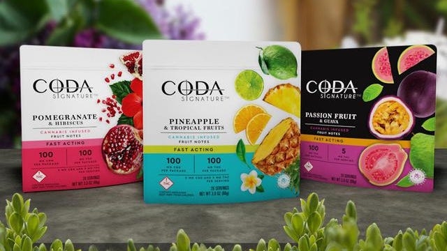 Coda Signature’s Decadent &amp; Award-Winning Edibles Are The Future Of Weed Treats