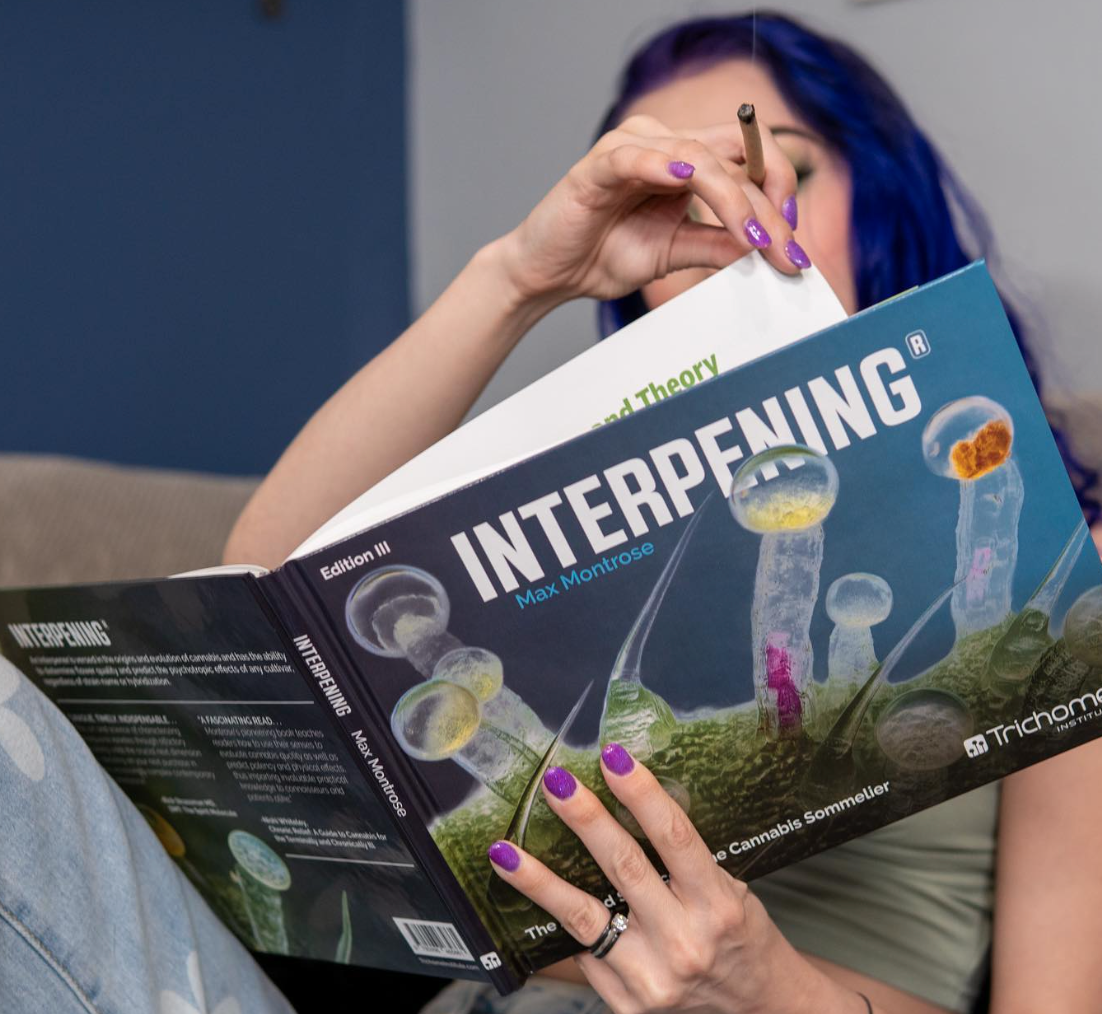 Interpening Aromatic Training Kit: Connecting Scents To Terpenes