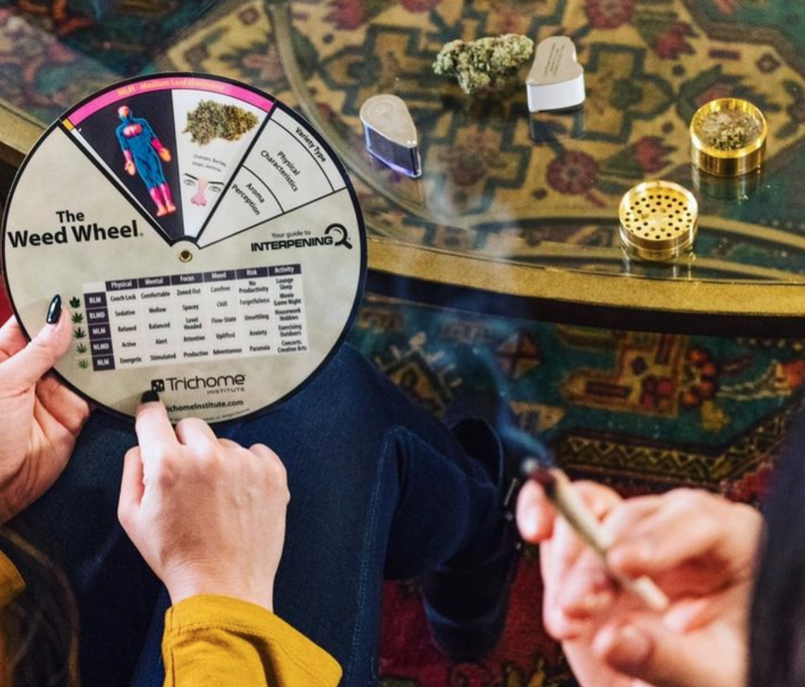 Interpening Aromatic Training Kit: Connecting Scents To Terpenes