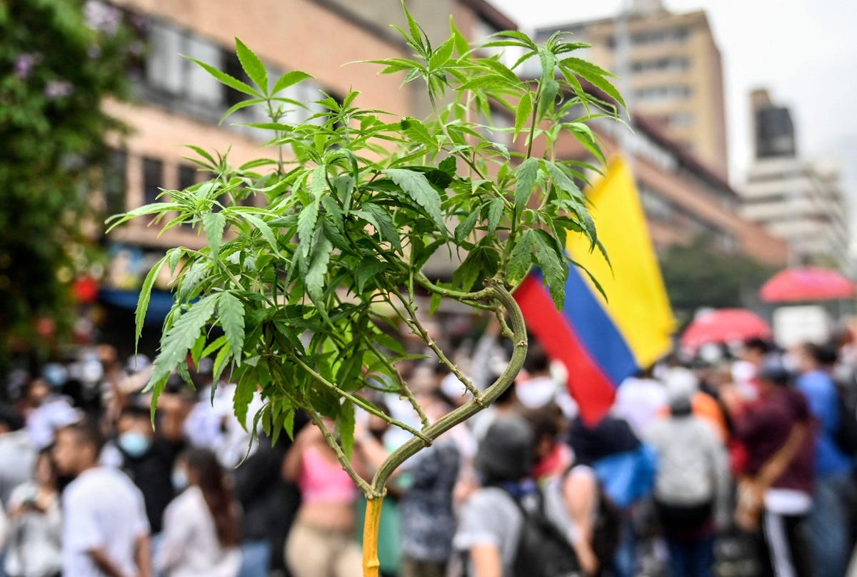 Road To Legalization: Is Weed Legal In Colombia?