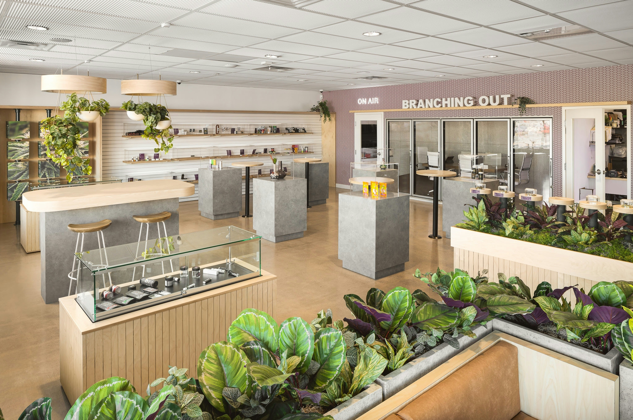 The Best Dispensaries In Downtown Phoenix