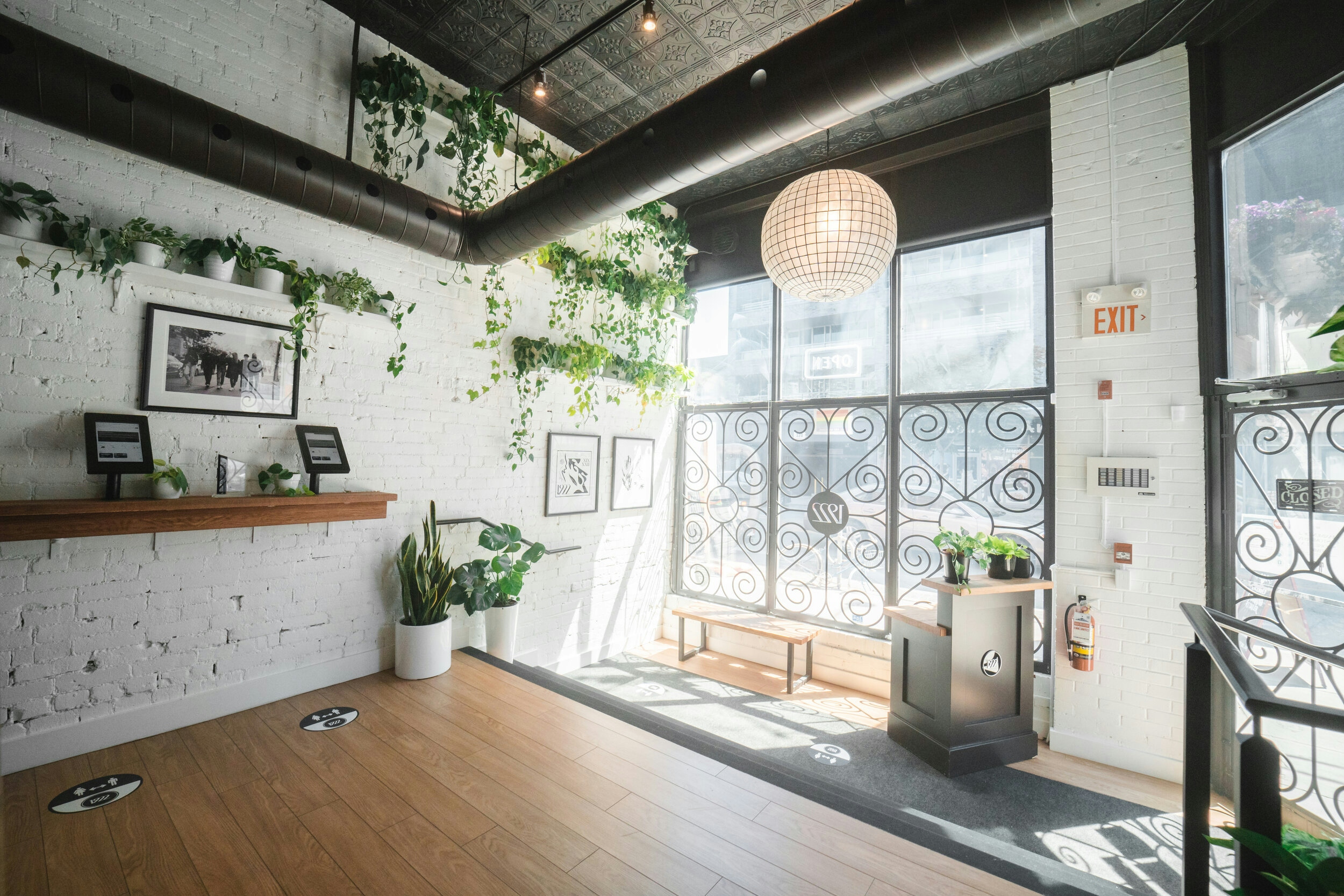 These Are The Best Dispensaries In Toronto
