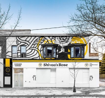 These Are The Best Dispensaries In Toronto