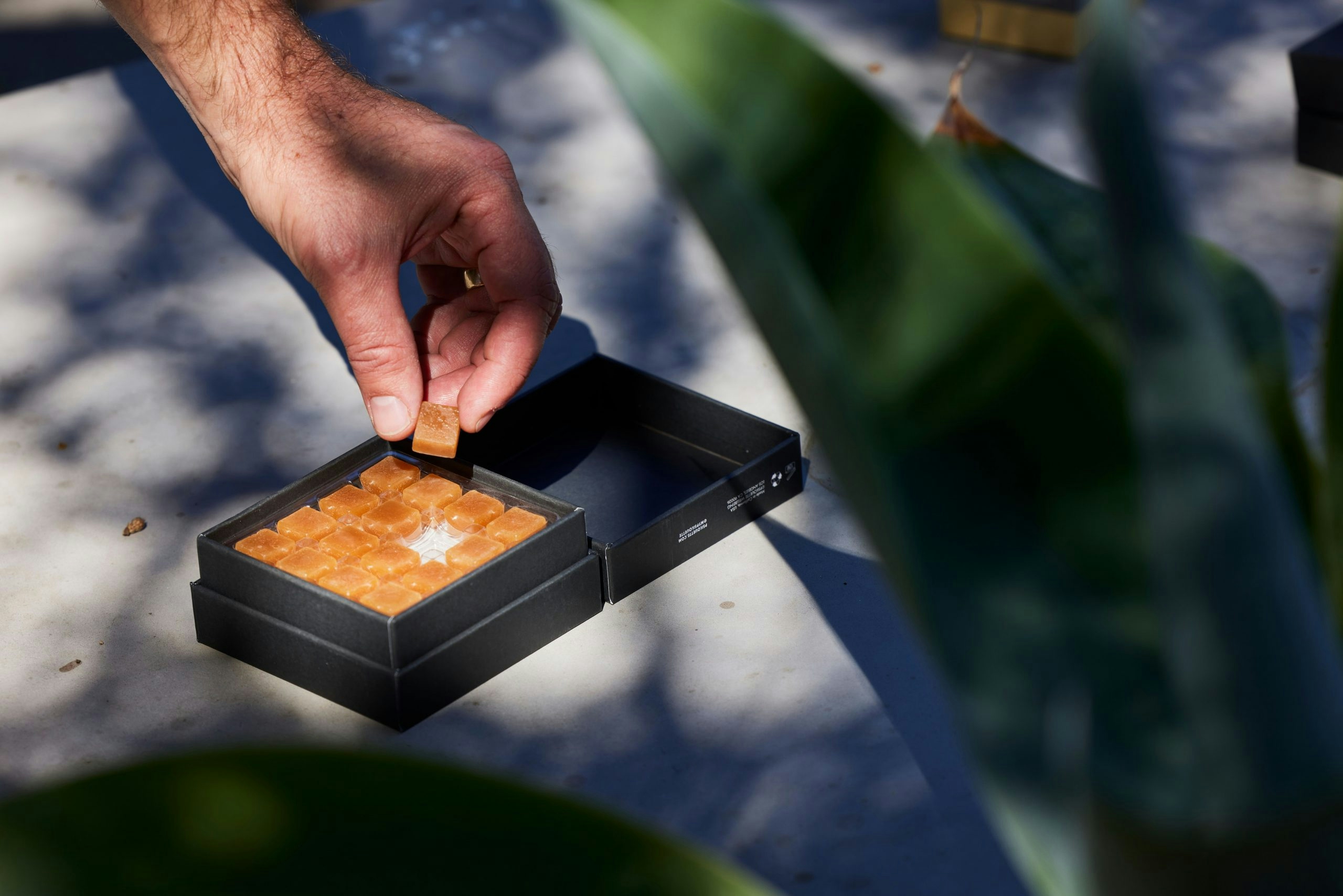 Psilouette Brand: Psychedelics Wellness Products