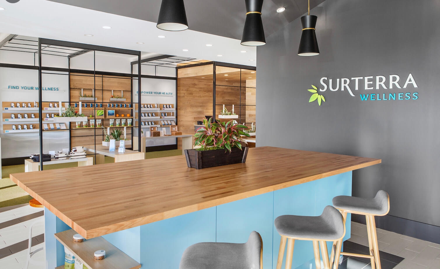 The 10 Best Dispensaries In Florida