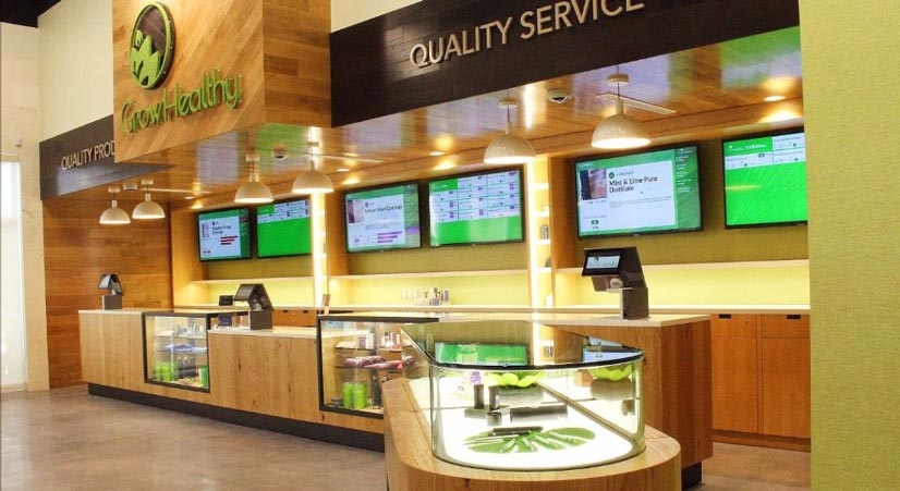 The 10 Best Dispensaries In Florida