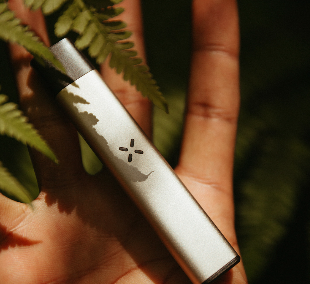 The Best Pods On The Market: Let’s Find Out What PAX Has To Offer